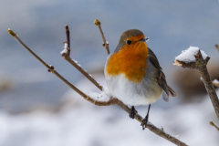 LR-NZ8_1638-Bearbeitet