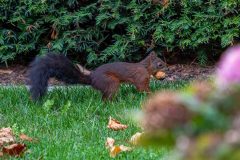 LR-NZ8_8151-Bearbeitet