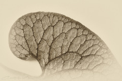 347265620_269093805524691_3965960007001185214_n