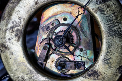 347604832_1442988473142911_8022183015052252750_n