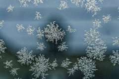 cef07df6197ddd6f95af456e9034eab8c76fd27d.x1280