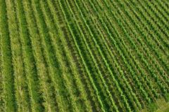 DJI_0170